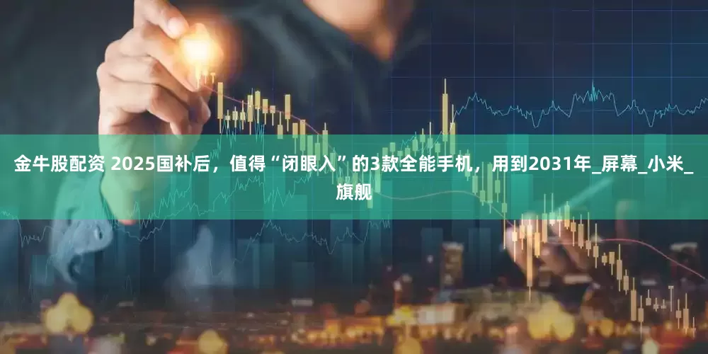 金牛股配资 2025国补后，值得“闭眼入”的3款全能手机，用到2031年_屏幕_小米_旗舰