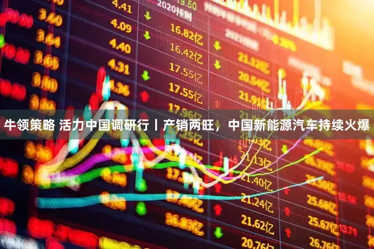 牛领策略 活力中国调研行丨产销两旺，中国新能源汽车持续火爆