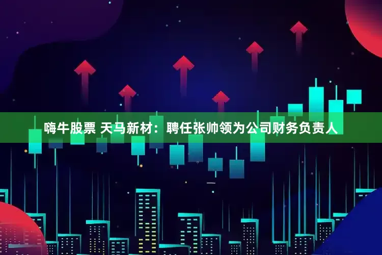 嗨牛股票 天马新材：聘任张帅领为公司财务负责人